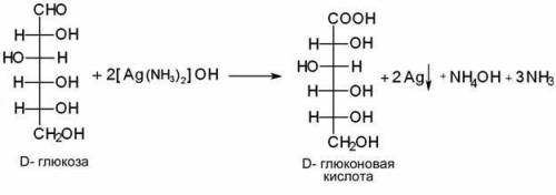 Моносахариды – глюкоза и фруктоза: а) нахождение в природе б) строение (желательно структурные форму