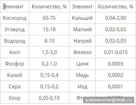 Суммарное содержание МАКРОЭЛЕМЕНТОВ C,O, H, N в клетках составляет? ​