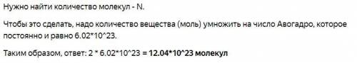 Сколько молекул содержится в двух молях вещества? а) 2x1023 б)12,02х1023 в)12,04x1023 г)6,02x1023