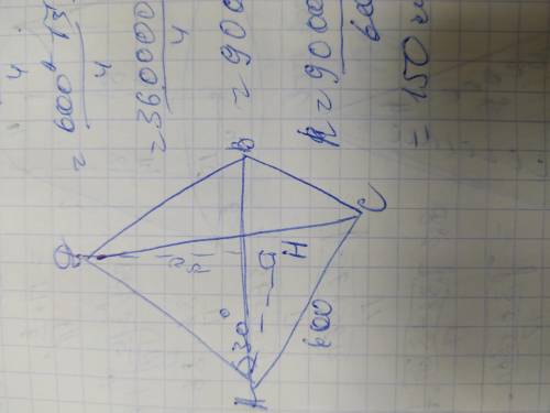Сторона основания правильной треугольной пирамиды равна 600 см, боковое ребро с плоскостью основания