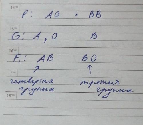 Решите задачу. Родители имеют II (гетерозигота) и III (гомозигота) группы крови. Определите генотипы