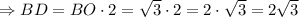 \Rightarrow BD=BO\cdot 2=\sqrt{3}\cdot2=2\cdot\sqrt{3}=2\sqrt{3}