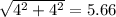 \sqrt{4^2+4^2}=5.66