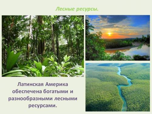 Верны ли следующие утверждения о природно-ресурсном потенциале Латинской Америки? А. В горах и на пл