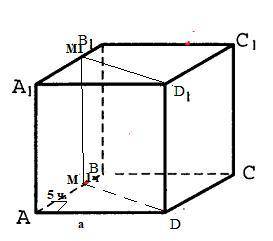 В кубе ABCDA A1B1C1D1 через вершины D и D1и точки m m1, которые делят соответственно ребра AB и A1B1