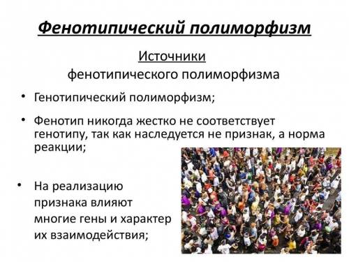 Во время сильной ветра в популяциях птиц погибают особи со слишком короткими или слишком длинными кр