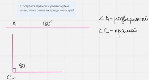 Постройте прямой и развернутый углы. Чему равна их градусная мера?