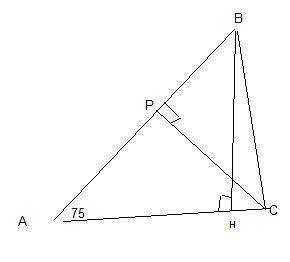 23. Кут трикутника дорівнює 75°. Знайти менший кут (у градусах) між висотами, проведеними до сторін,