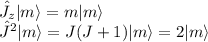 \hat{J}_z|m\rangle = m|m\rangle\\\hat{J}^2|m\rangle = J(J+1)|m\rangle = 2|m\rangle