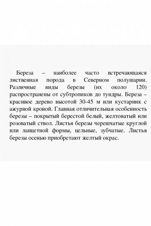 Соченение на слово береза в художественном научном и разговорном стиле