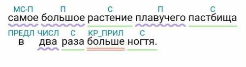 Нужно сделать синтаксический разбор этого предложения : самое большое растение плавучего пастбища в