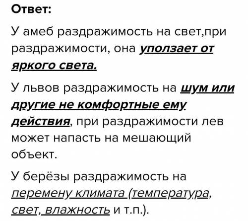 Напишите раздражимость и возбудимость березы