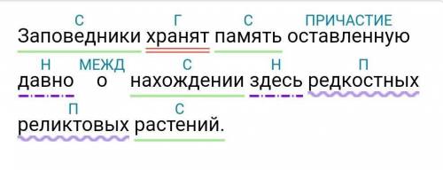 Синтаксический разбор предложения. Заповедники хранят память оставленную давно о нахождении здесь ре