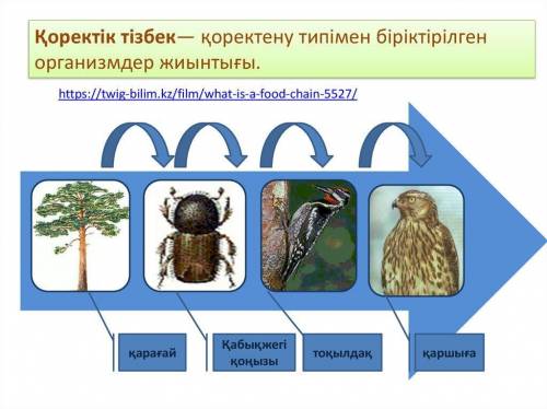 Географиядан алған білімдеріңе сүйене отырып, дала экожүйесіне арналған қарапайым қоректік тізбек құ