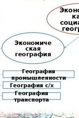 Что относится к социальной географии​