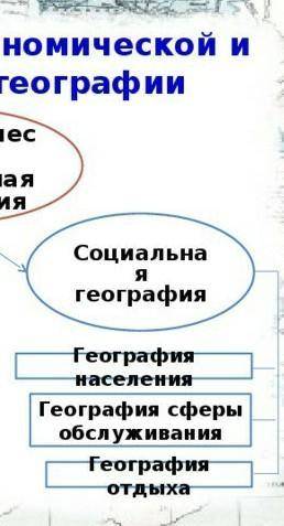 Что относится к социальной географии​