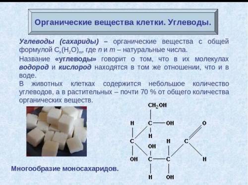 Эссе органические вещества клетки