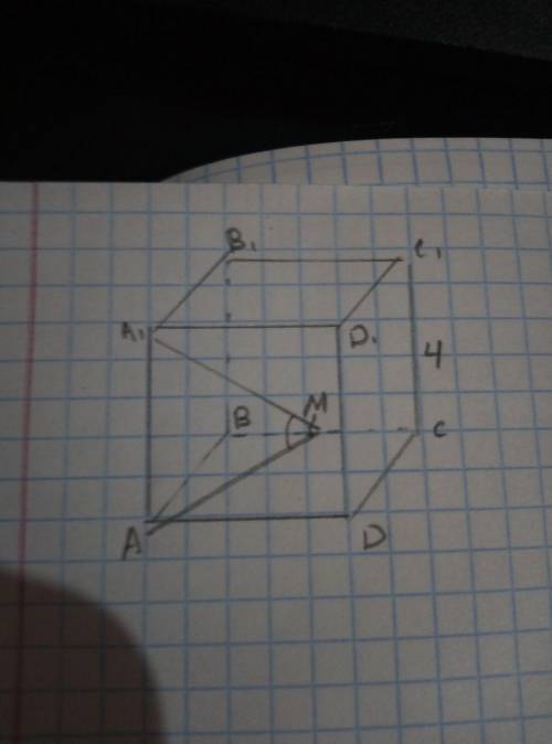 Дана правильная треугольная призма ABCA1B1C1, точка M — середина ребра BC. Найдите косинус угла AMA1