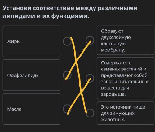 Установи соответствие между различными липидами и их функциями.​