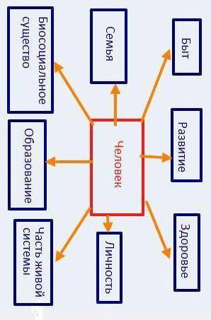 Составьте кластер Человек-это