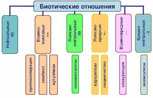 Биотические отношения таблица с взаимноотношениями, определениями, примерами