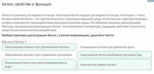 Белки, свойства и функции Белки по-разному растворяются в воде. Некоторые белки хорошо растворяются