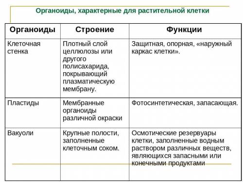 Цепочка органоид-строение-функции