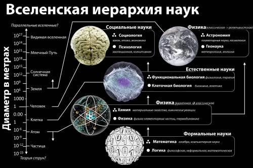 Ребят, нужно по школе, для доклада. Кто знает английский на нужном уровне, онлайн переводчики не под