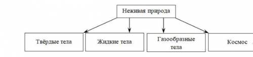 13. Задание 10 Структуру природы можно представить в виде схемы. Пример Природа Живая Неживая Прочит