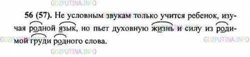 сделать №56 по русскому языку 5 класс Разумовской