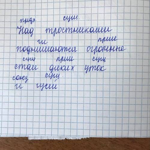 Над каждым словом напишите,какой части речи оно является Над тростниками поднимаются огромные стаи д