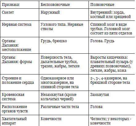 Позвоночные и непозвоночные : скелет,нервная система,дыхательная система и ее расположение,органы чу