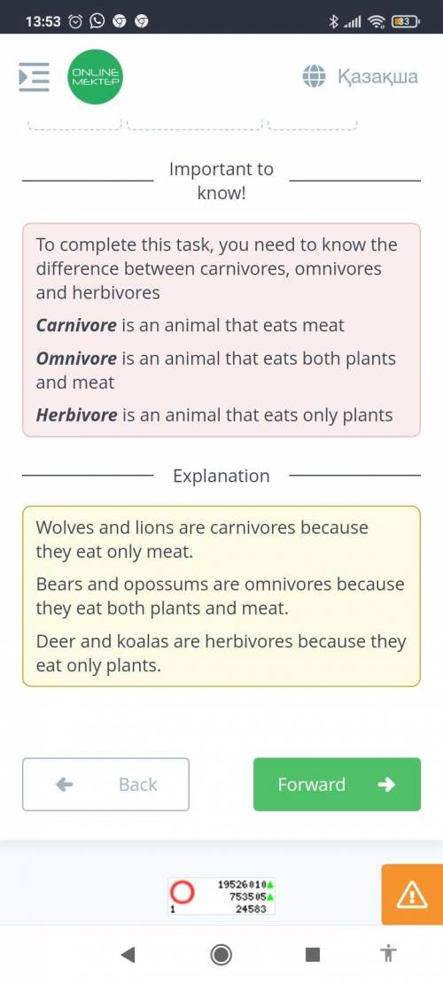 Categorize these animals into three groups. carnivore an animal that eats meat omnivore an animal th