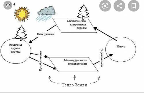 нужно биологический круговорот воздуха схему нарисовать