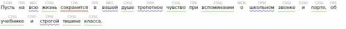 Синтаксический разбор предложения: Пусть на всю жизнь сохранится в вашей душе трепетное чувство при