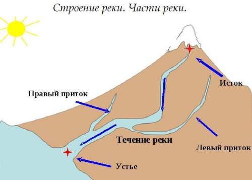 Какие высказывания являются верными? (Несколько вариантов ответа.) Исток — место, где начинается рек