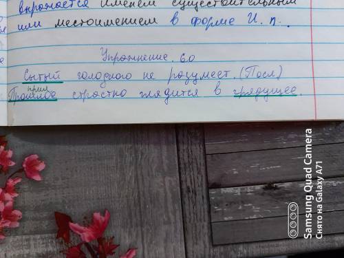 Спишите предложения, подчеркните подле жащее, определите их выражения.1. Сытый голодного не разумеет