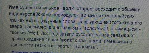 Почему у волков есть имена? Что они обозначают?​