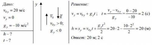 Какой высоты достигнет мяч, брошенный вертикально вверх со скоростью 20 м/с? Сколько времени для это