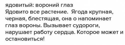 Какие растения ( их части) являются ядовитыми? а) томаты и беленаб) пырей и осотв) вех и вороний гла