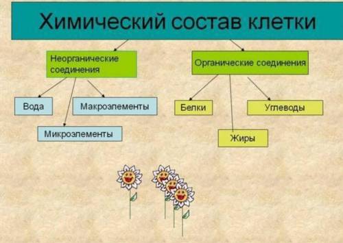 Лабораторная работа химический состав изучаем состав клетки 5 класс​