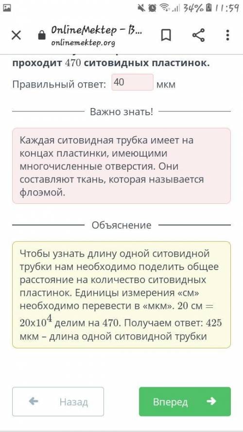 Укажи длину одной ситовидной трубки, если молекула сахарозы за 20 см проходит 470 ситовидных пластин