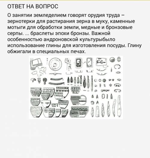 Кратко опишите орудия труда андроновцов