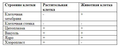 Заполните таблицу в тетради указав наличие признаков для той или иной клетки знаком + (цитоплазму я