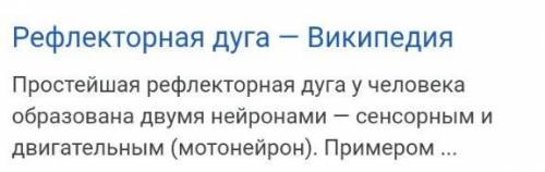 Простейшая рефлекторная дуга образована: тремя нейронами одним нейроном двумя нейронами