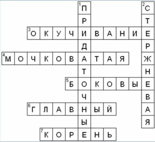 Составить кроссворд на тему «корни растений»