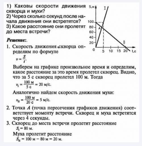 Вдоль дороги навстречу друг другу летят скворец и комнатная муха. На рисунке представлены графики дв