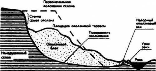 Реферат по теме опалзни нужно сегодня ​