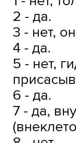 5) Зачем Кишечнополостным нужны промежуточные клетки и как это связано с мифом о Геракле ичудовищной