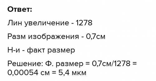 Определите точный размер органоида под буквой d, если линейное увеличение изображения 1278. Показать